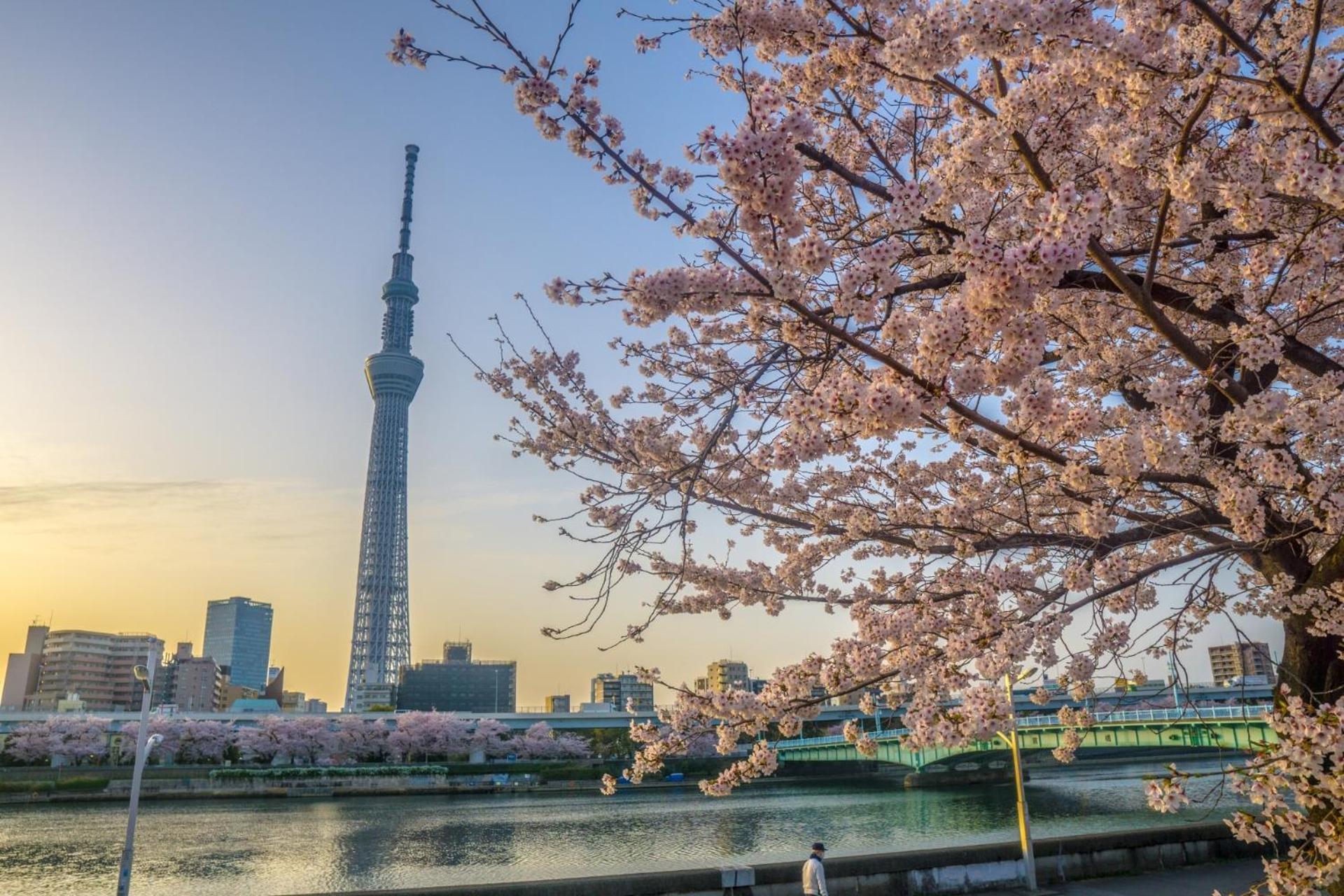 Stayme The Asakusa Riverside * Tokio